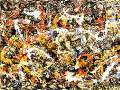 240x180JacksonPollock.png